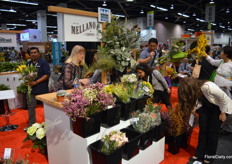 The last hour of the exhibition was a sign for a lot of people to come and get a (free) bouquet, for example by Mellano & Company.